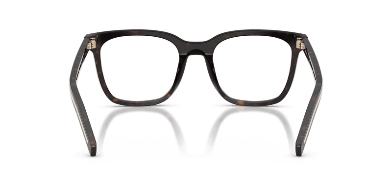 Prada PR B11VF in Root Tortoise (17N1O1) - Alternate View