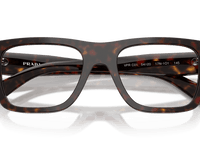 Root Tortoise (17N1O1)