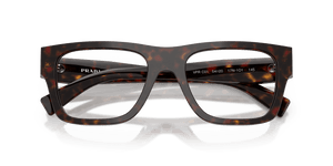 Root Tortoise (17N1O1)