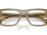 Transparent Bark (22H1O1)