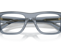 Transparent Ocean (17T1O1)