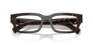 Root Tortoise (17N1O1)