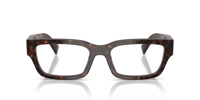 Prada PR C02V in Root Tortoise (17N1O1) - Alternate View