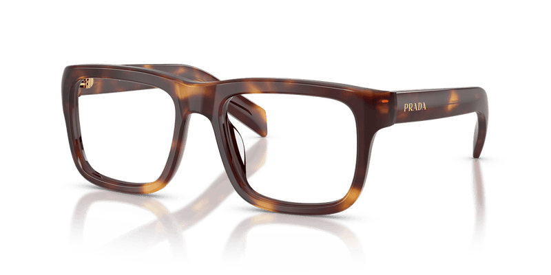 Prada PR D02V in Havana (15W1O1) - Alternate View