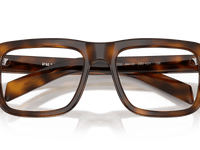 Juniper Havana (20D1O1)