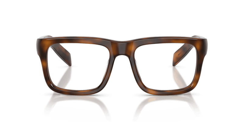 Prada PR D02V in Juniper Havana (20D1O1) - Back View