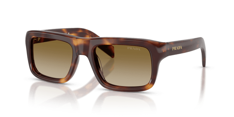 Prada PR D11S in Classic Tortoise / Brown Gradient (15W20U) - Alternate View