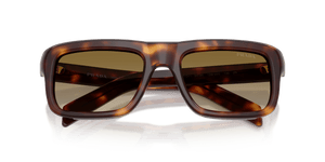 Classic Tortoise / Brown Gradient (15W20U)
