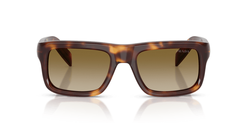 Prada PR D11S in Classic Tortoise / Brown Gradient (15W20U) - Alternate View