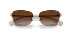 Shiny Silver / Gradient Brown (949213)