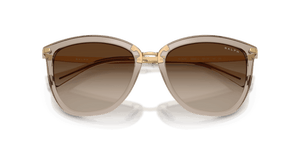 Shiny Beige / Gradient Brown (580213)