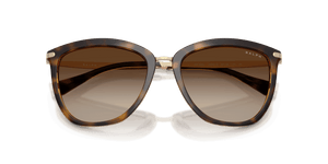 Shiny Dark Havana / Gradient Brown (500313)