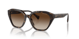 Shiny Dark Havana / Gradient Brown (500313)
