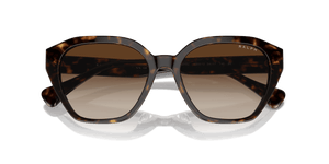 Shiny Dark Havana / Gradient Brown (500313)