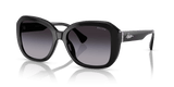 Shiny Black / Gradient Grey (50018G)