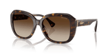Shiny Brown Havana / Gradient Brown (500313)