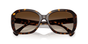 Shiny Brown Havana / Gradient Brown (500313)