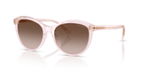 Shiny Transparent Pink / Gradient Brown (604313)
