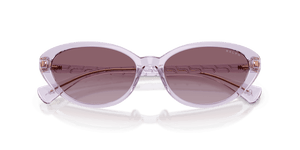 Transparent Violet / Violet Gradient (57468H)