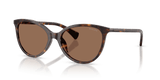 Dark Havana / Brown (500373)