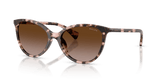 Pink Havana / Gradient Brown (605813)