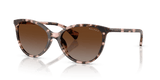 Rose Havana / Brown Gradient Polarized (6058T5)