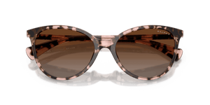 Rose Havana / Brown Gradient Polarized (6058T5)