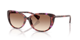 Shiny Violet Havana / Gradient Brown (623913)