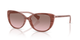 Striped Pink / Gradient Violet (62919T)