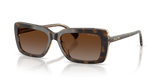 Tortoise / Brown Gradient Polarized (6294T5)
