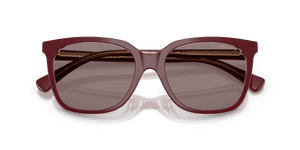 Burgundy Transparent / Violet (62997N)