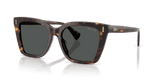 Shiny Dark Havana / Grey (500387)