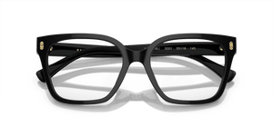 Shiny Black (5001)