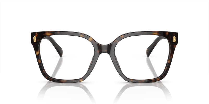 Ralph RA7158U in Shiny Dark Havana (5003) - Alternate View