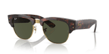 Tortoise On Gold / G-15 Green