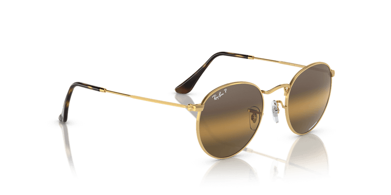 Ray-Ban ROUND METAL RB3447 in Arista Gold / Silver & Brown Polarized+ - Alternate View