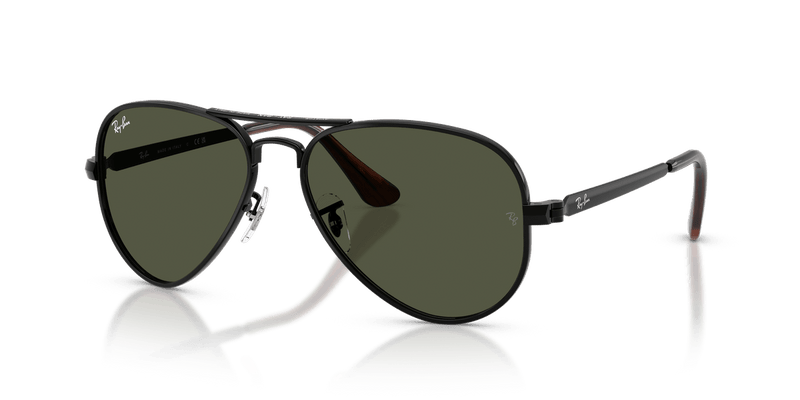 Ray-Ban AVIATOR MAX RB3925 in Black / Green - Alternate View