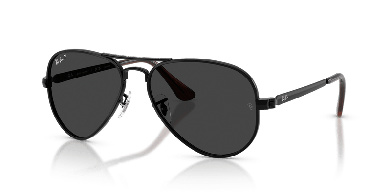 Ray-Ban AVIATOR MAX RB3925 in Black / Black Polarized - Alternate View