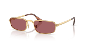 Arista Gold / Purple Polarized