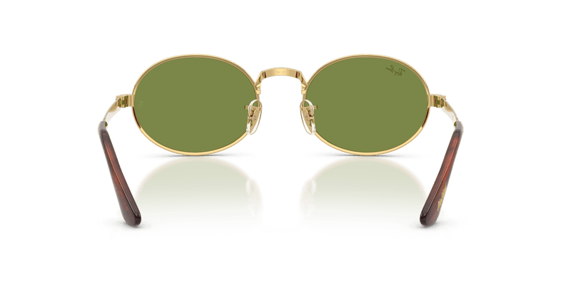 Ray-Ban RB3931 in Arista Gold / Green (001/4E) - Alternate View