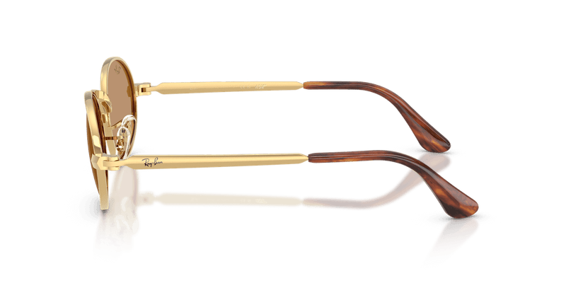 Ray-Ban RB3931 in Arista Gold / Brown - Alternate View