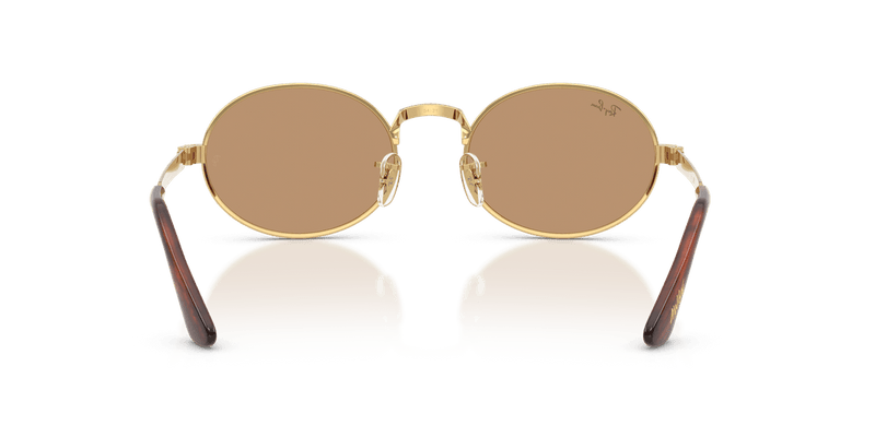 Ray-Ban RB3931 in Arista Gold / Brown - Alternate View