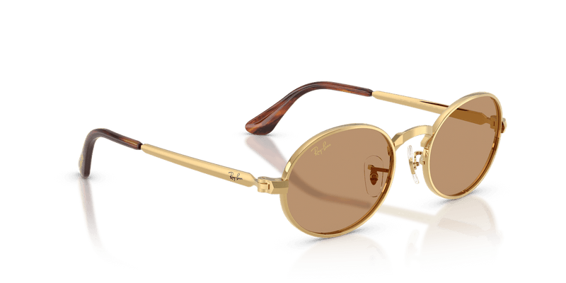 Ray-Ban RB3931 in Arista Gold / Brown - Alternate View
