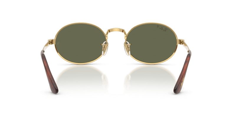 Ray-Ban RB3931 in Arista Gold / Polarized Green - Alternate View