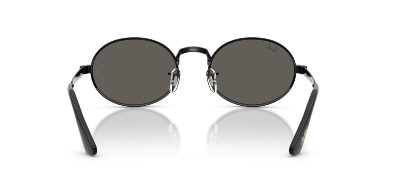 Ray-Ban RB3931 in Black / Dark Gray - Alternate View