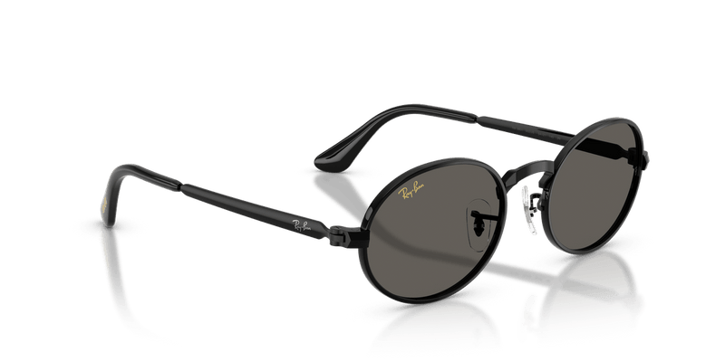 Ray-Ban RB3931 in Black / Dark Gray - Alternate View