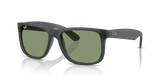 Opal Grey / Green