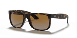 Havana / Brown & Grey Polarized