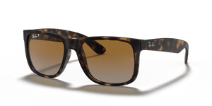 Havana / Brown & Grey Polarized