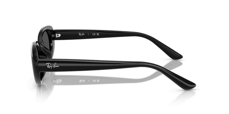 Ray-Ban RB4441D in Black / Dark Grey - Alternate View